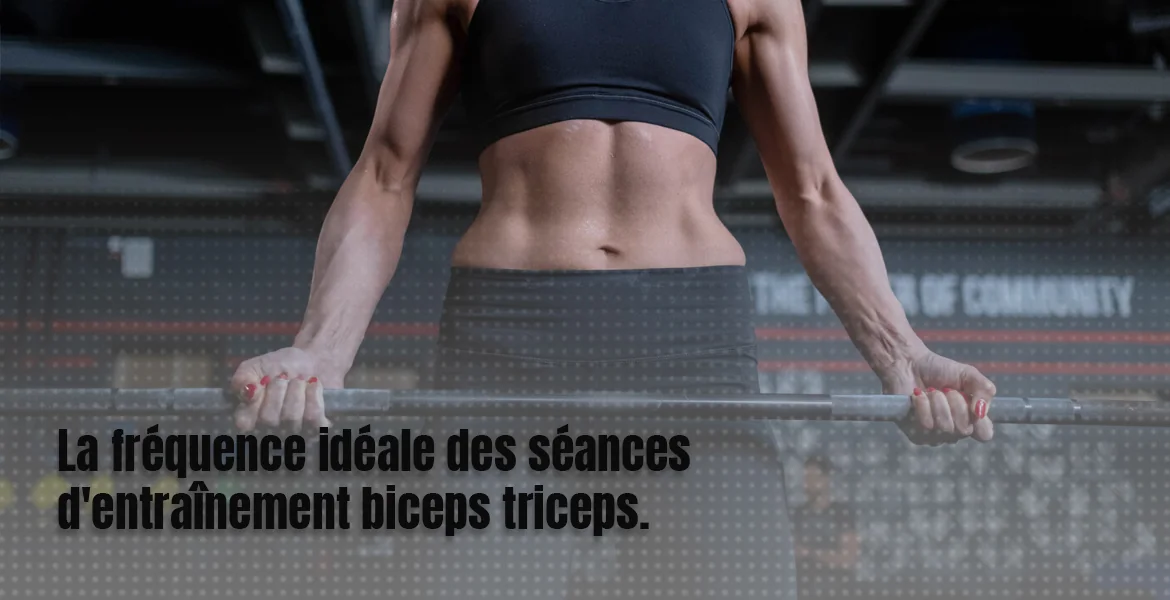 La fréquence idéale des séances d'entraînement biceps triceps